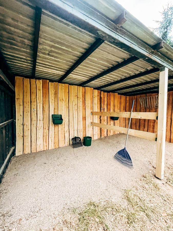 Wunderschoenes Chalet Mit Gaestehaus In Der Natur Mit Fass-Sauna Sangerhausen Buitenkant foto