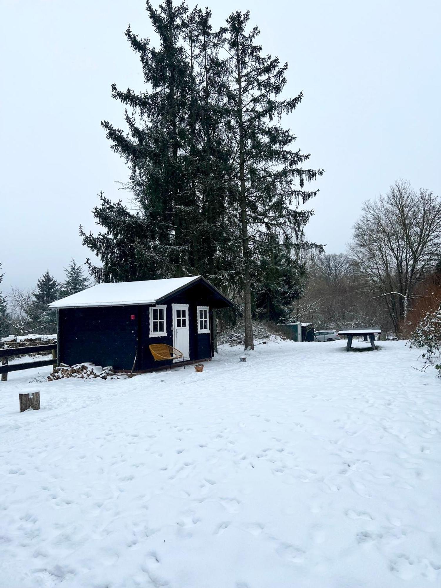Wunderschoenes Chalet Mit Gaestehaus In Der Natur Mit Fass-Sauna Sangerhausen Buitenkant foto